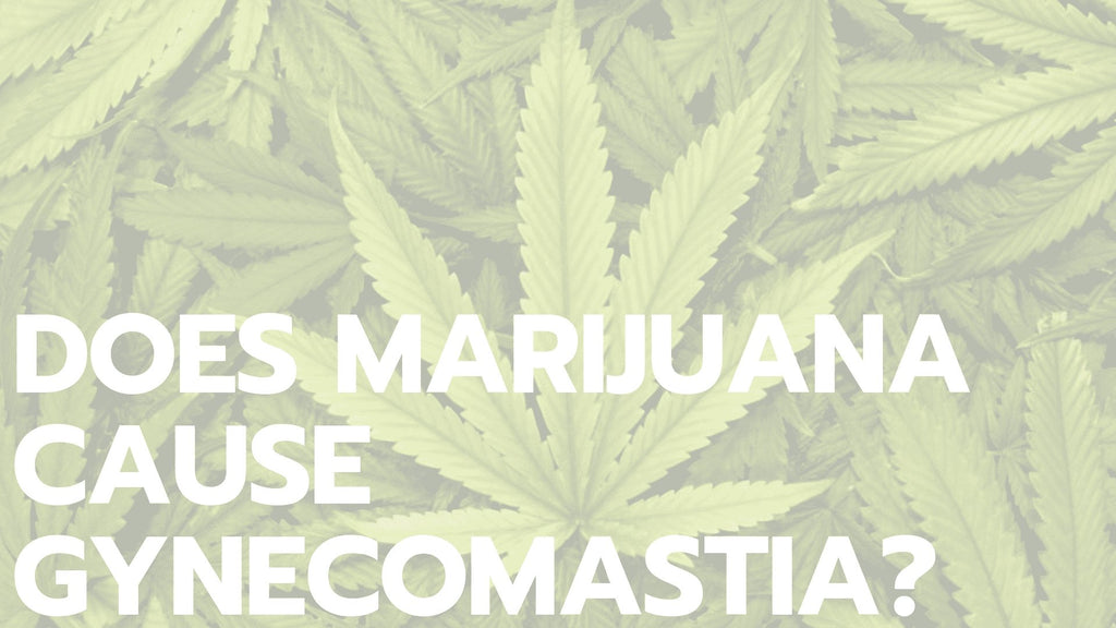 Does Marijuana Cause Gynecomastia?